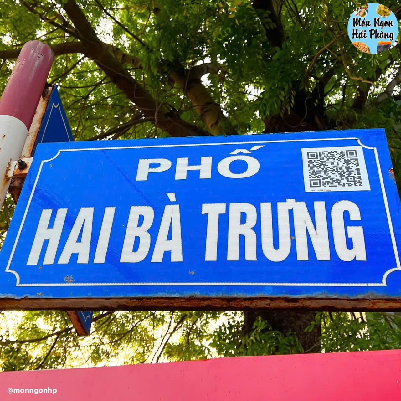 Ảnh Hai Bà Trưng — Vũ Nhà Phố