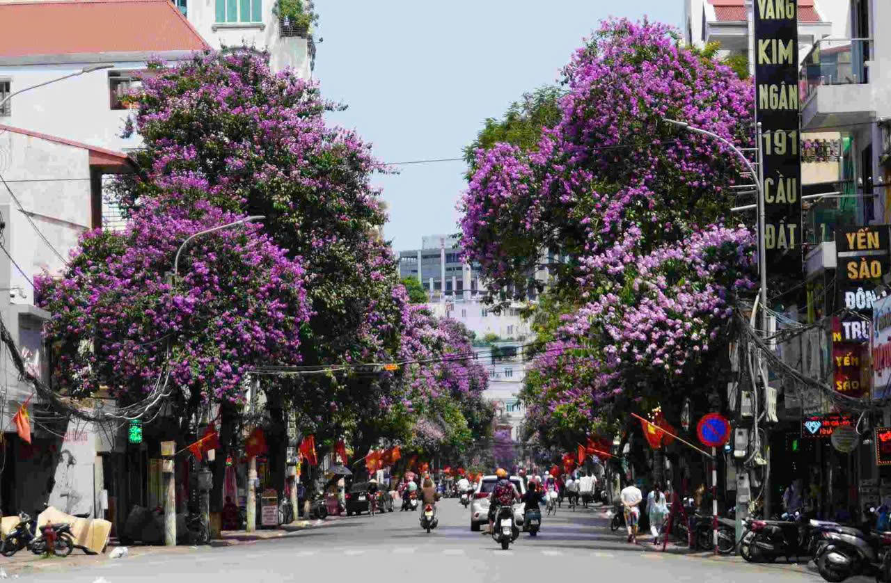 Ảnh Cầu Đất — Vũ Nhà Phố