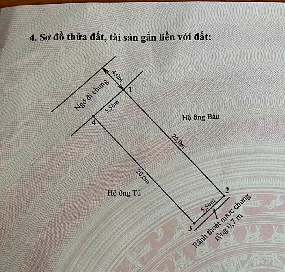 Ảnh Đà Nẵng — Vũ Nhà Phố