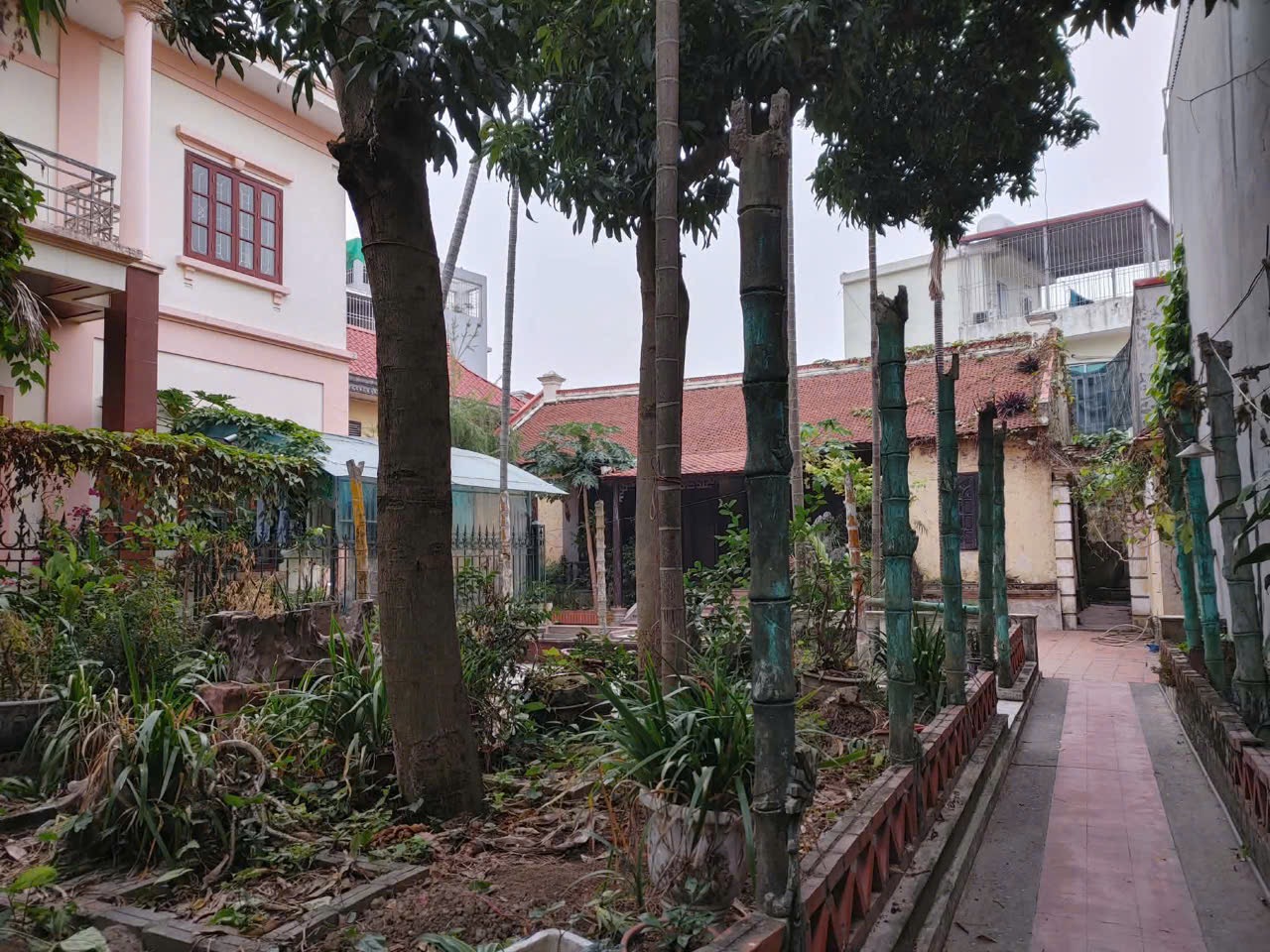 Ảnh Dân Lập — Vũ Nhà Phố