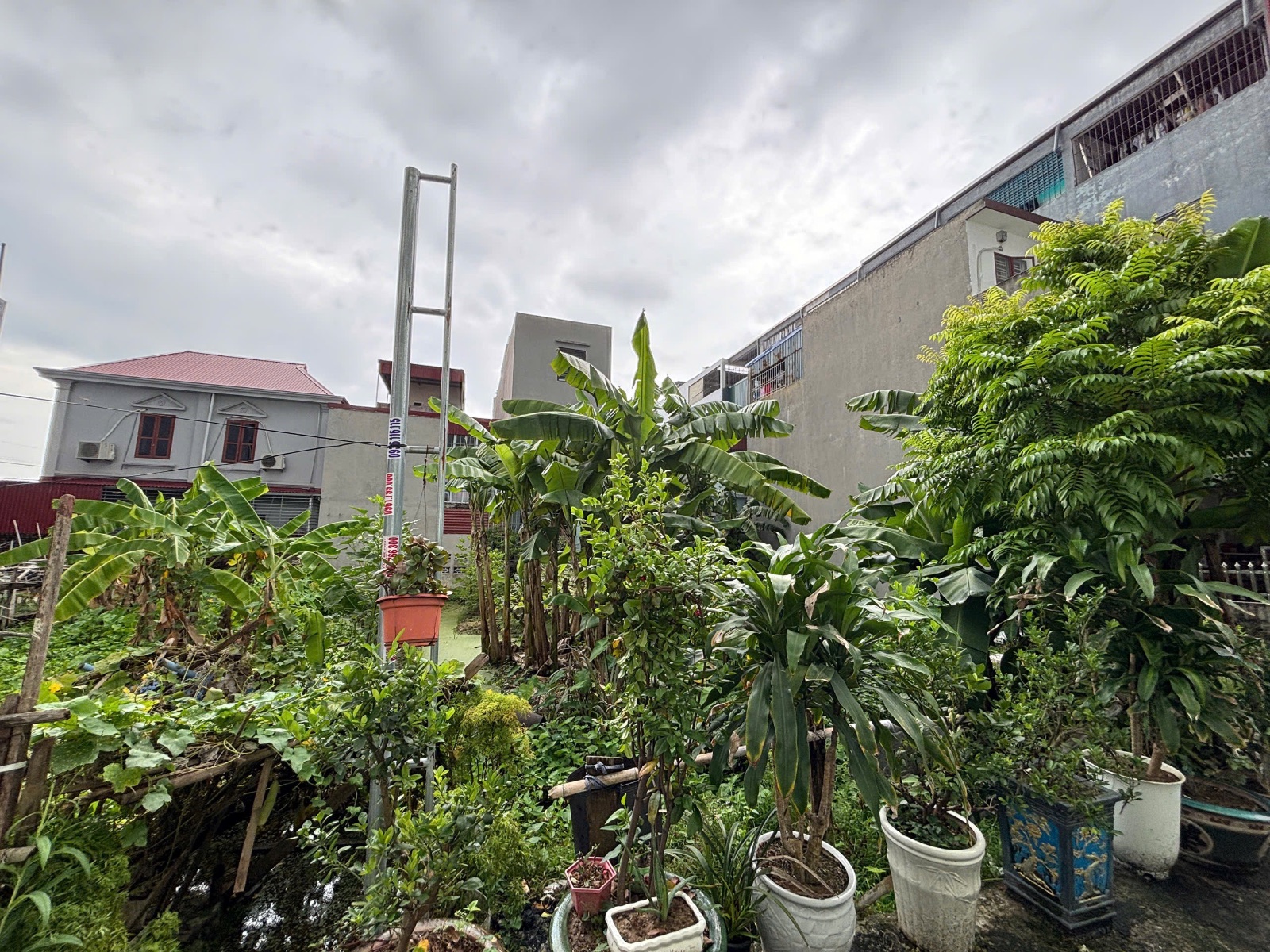 Ảnh Hàng Tổng — Vũ Nhà Phố