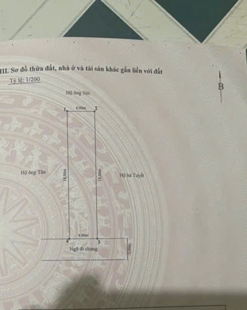 Ảnh Hàng Tổng — Vũ Nhà Phố