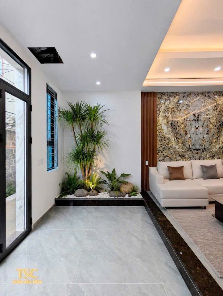 Ảnh Hồ Sen — Vũ Nhà Phố