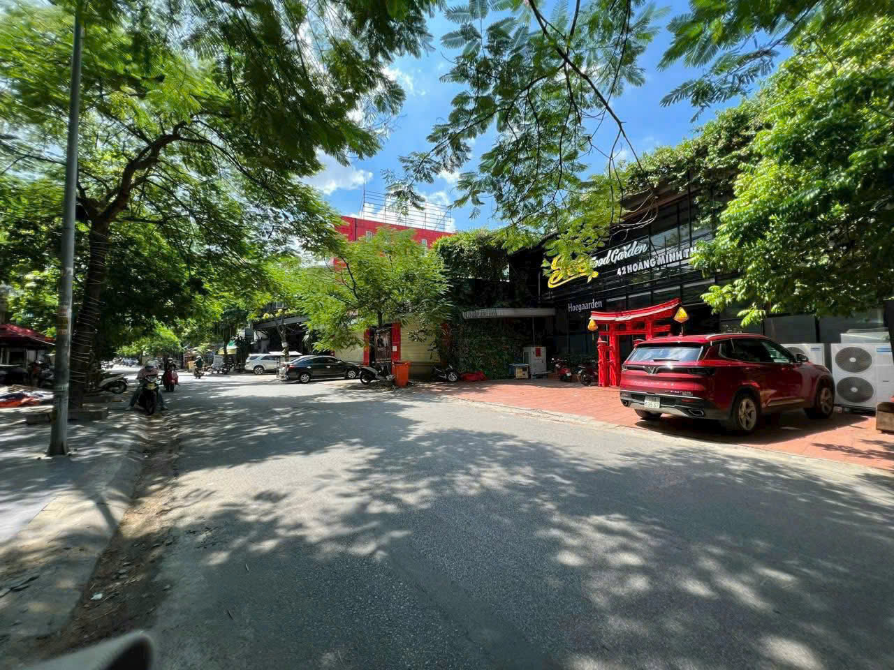 Ảnh Hoàng Minh Thảo — Vũ Nhà Phố