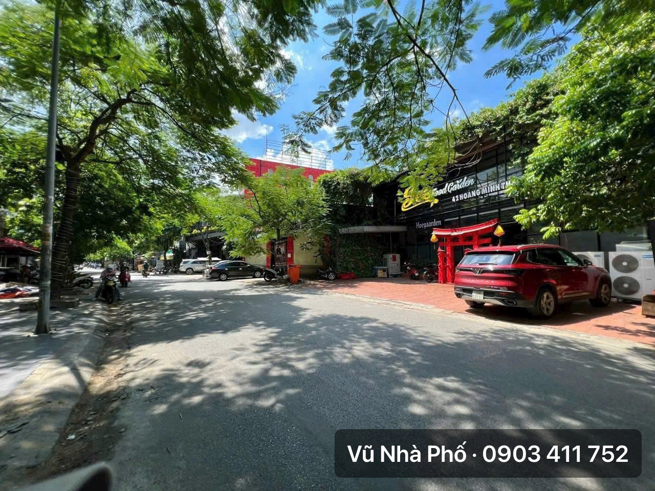 Ảnh Hoàng Minh Thảo — Vũ Nhà Phố