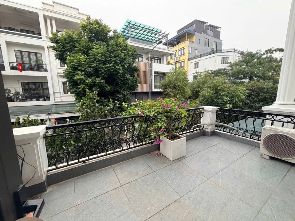 Ảnh Hoàng Ngọc Phách — Vũ Nhà Phố