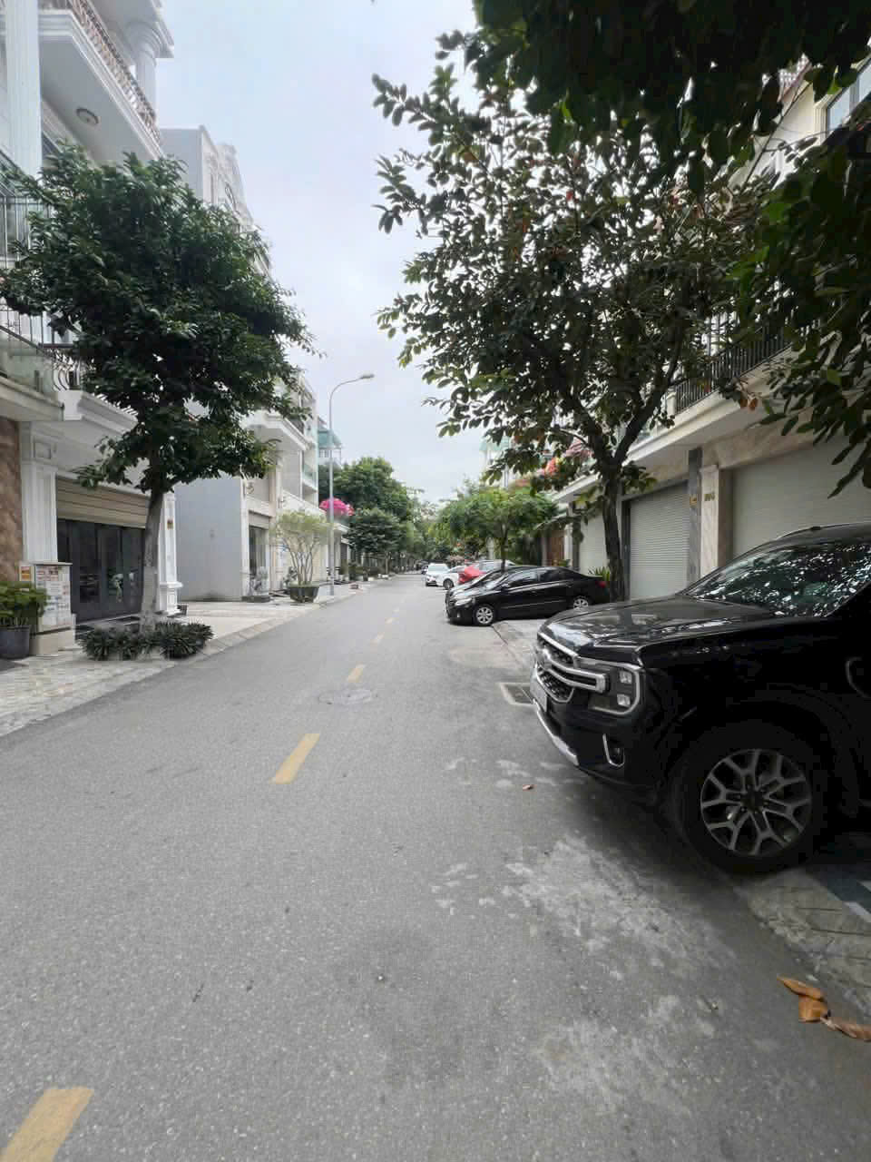Ảnh Hoàng Ngọc Phách — Vũ Nhà Phố