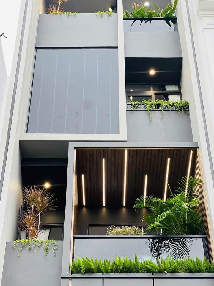 Ảnh Lâm Tường — Vũ Nhà Phố