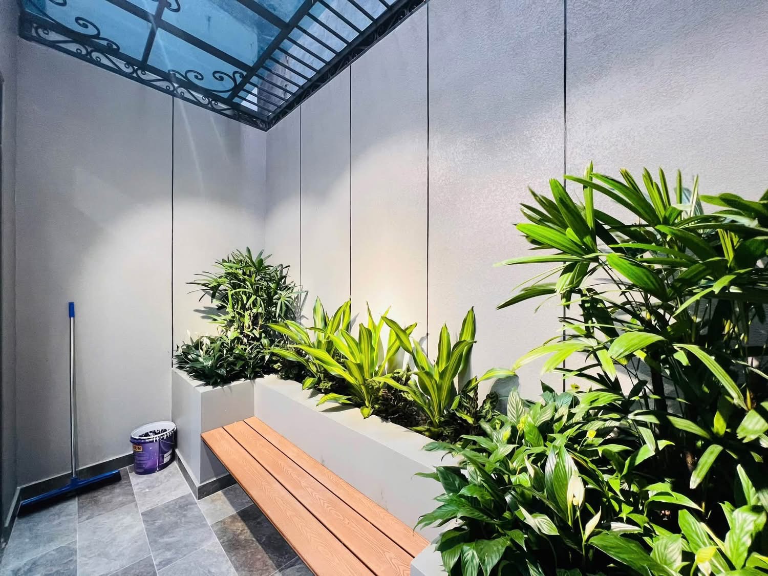 Ảnh Lâm Tường — Vũ Nhà Phố