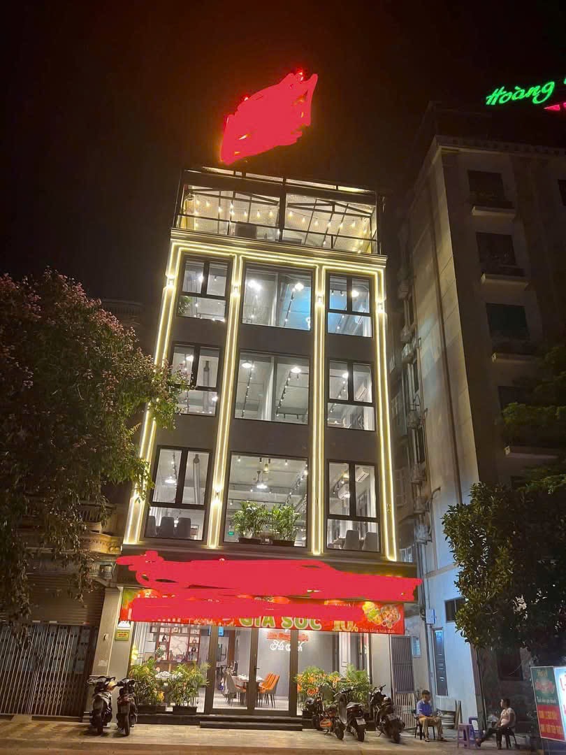 Ảnh Lê Hồng Phong — Vũ Nhà Phố