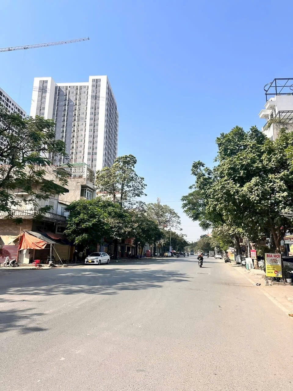 Ảnh Lê Thánh Tông — Vũ Nhà Phố
