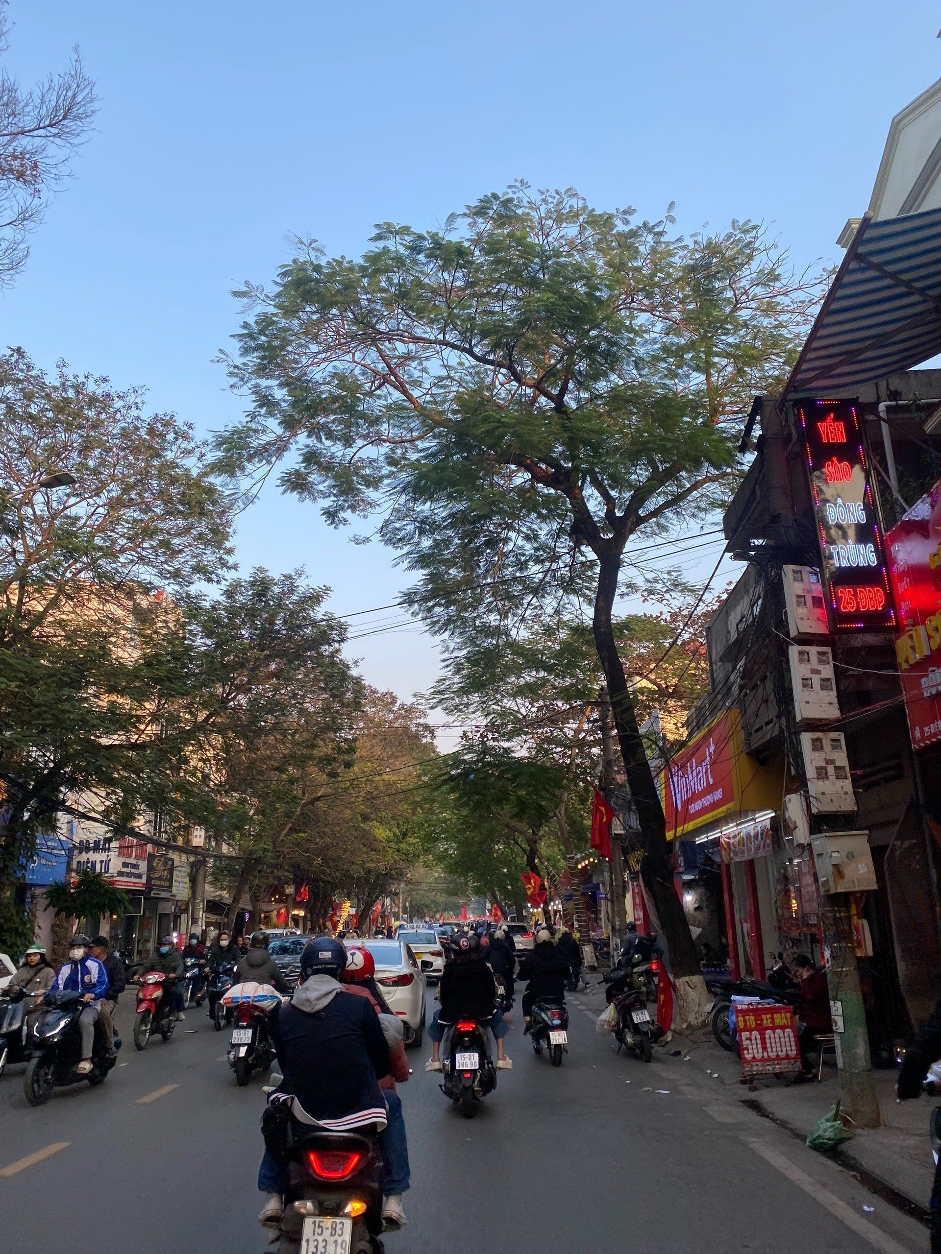 Ảnh Miếu Hai Xã — Vũ Nhà Phố