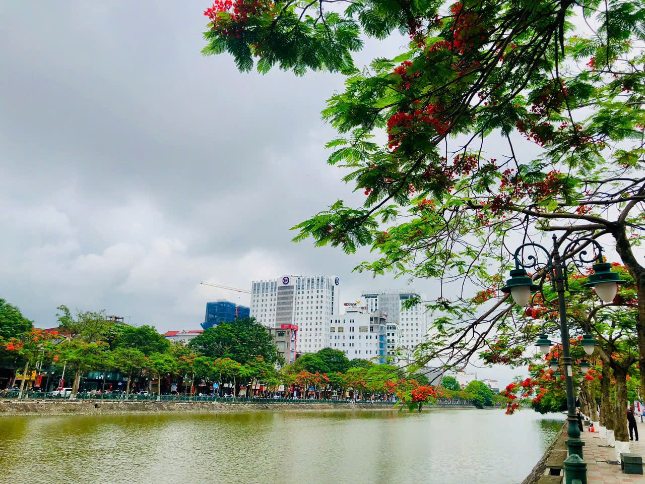Ảnh Nguyễn Đức Cảnh — Vũ Nhà Phố