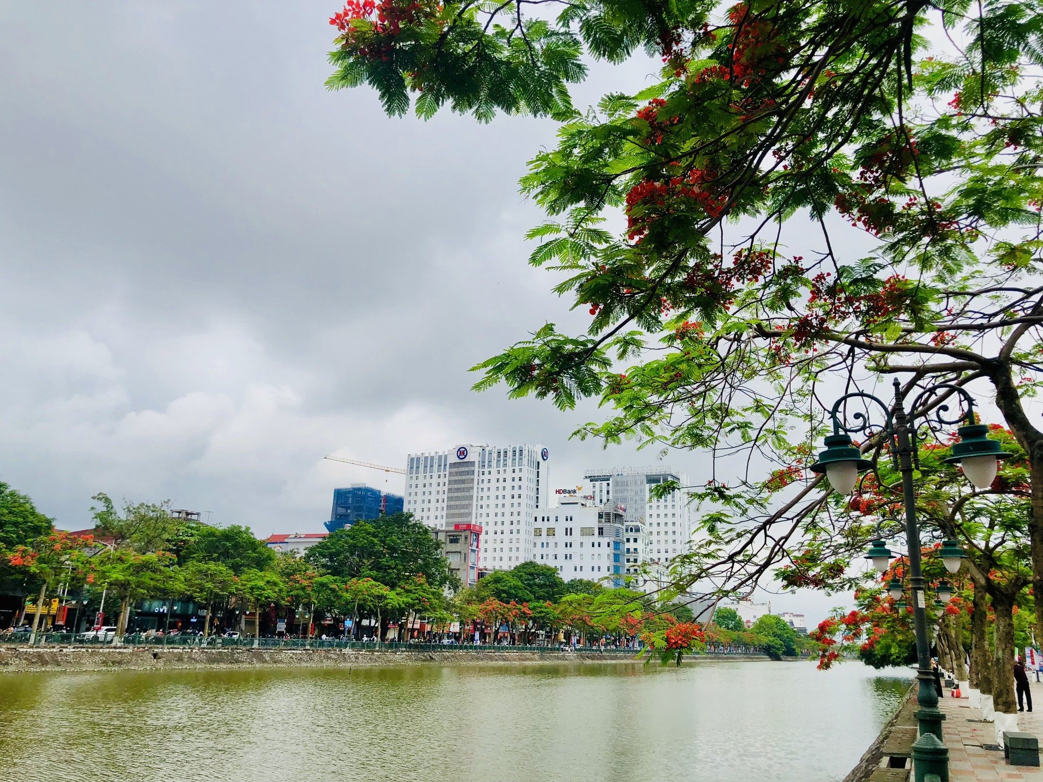 Ảnh Nguyễn Đức Cảnh — Vũ Nhà Phố