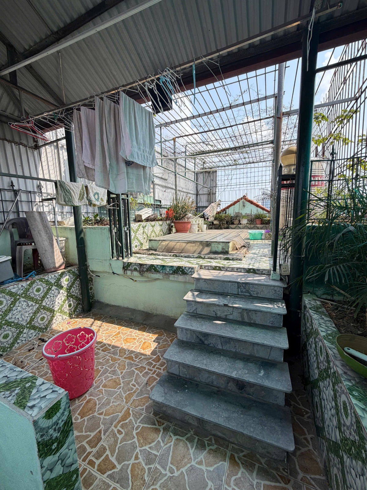 Ảnh Phạm Huy Thông — Vũ Nhà Phố