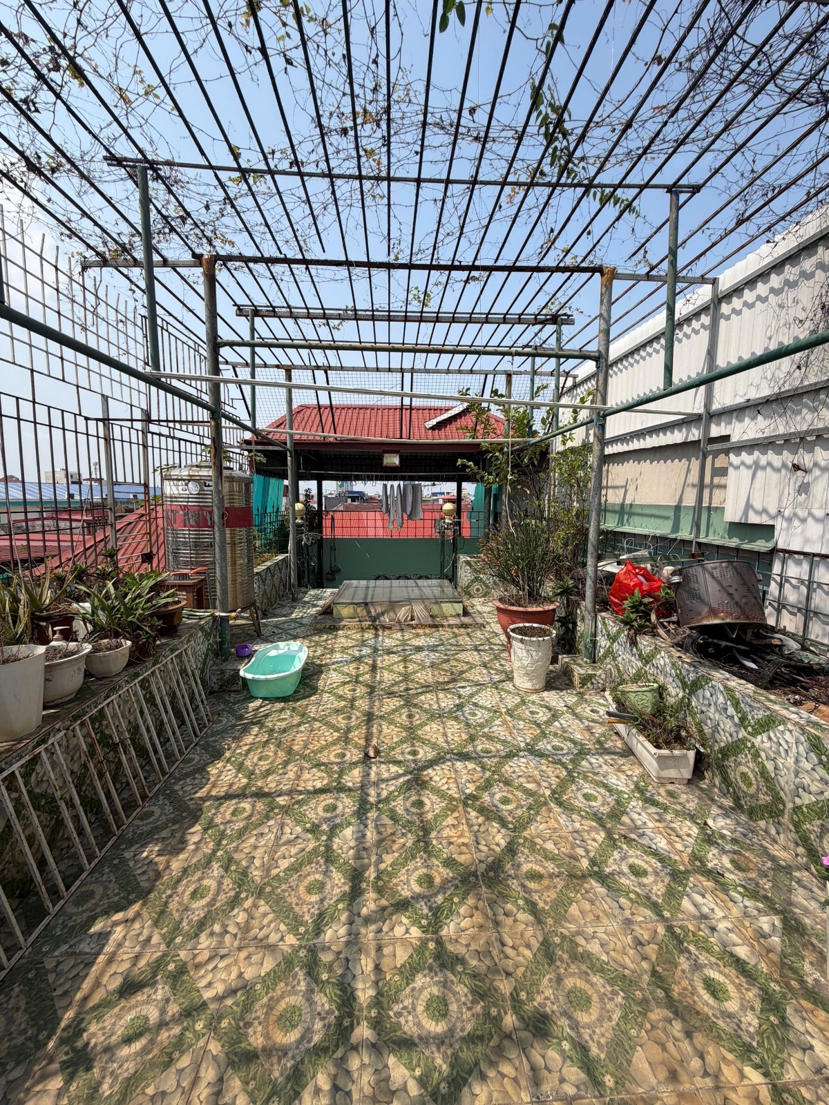 Ảnh Phạm Huy Thông — Vũ Nhà Phố