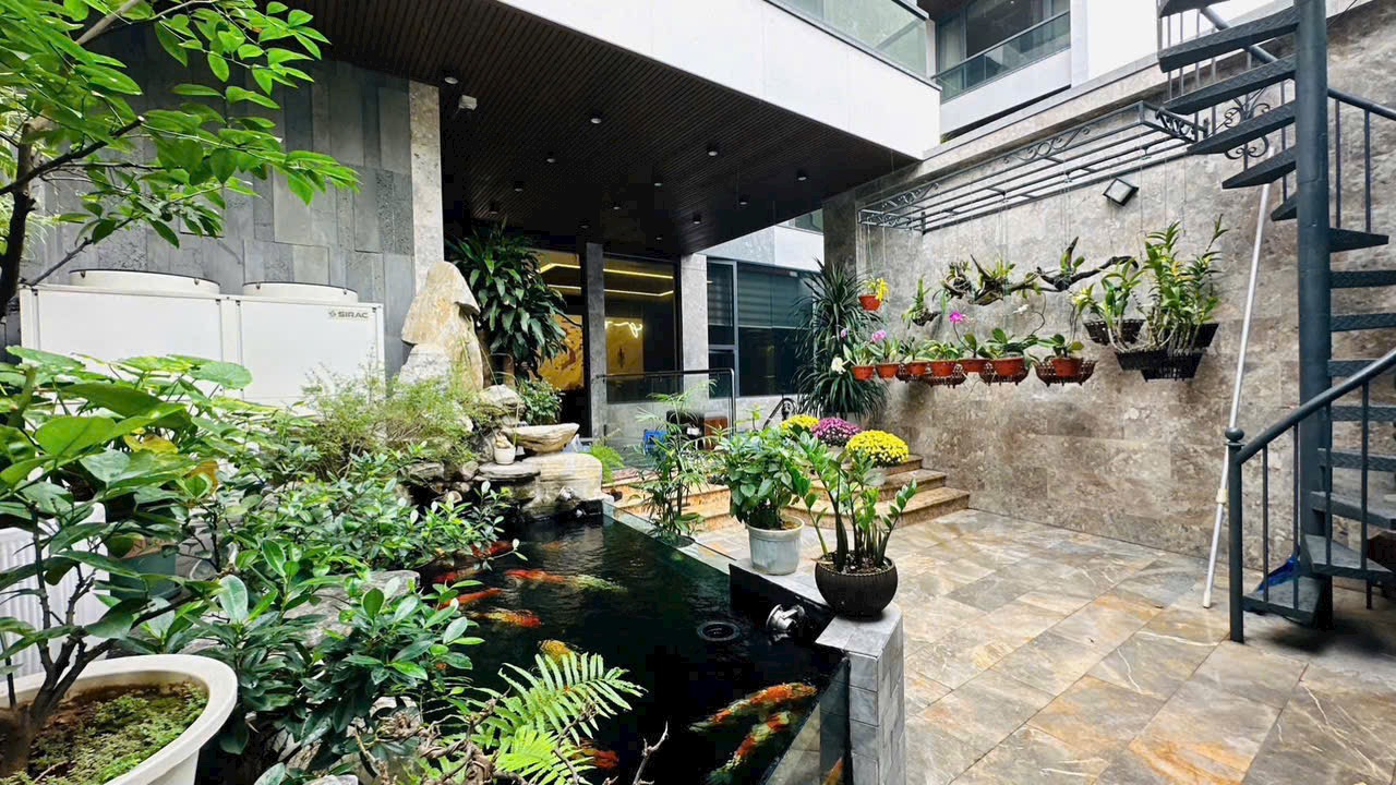 Ảnh Sở Dầu — Vũ Nhà Phố