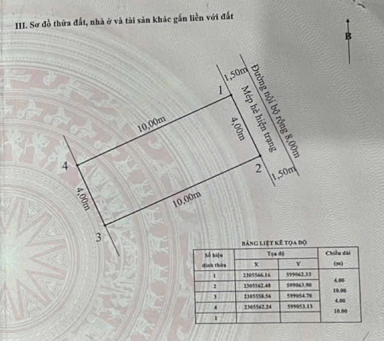 Ảnh TĐC Cây Đa — Vũ Nhà Phố