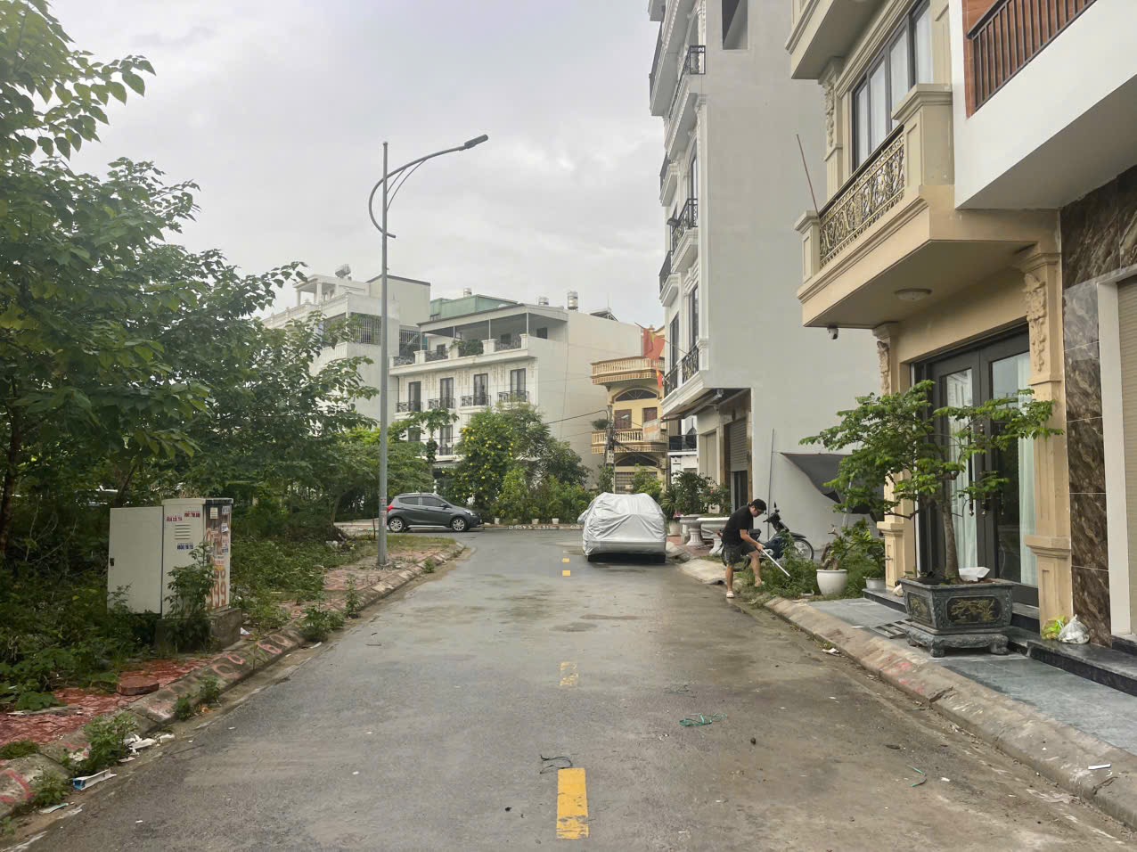 Ảnh TĐC Cây Đa — Vũ Nhà Phố