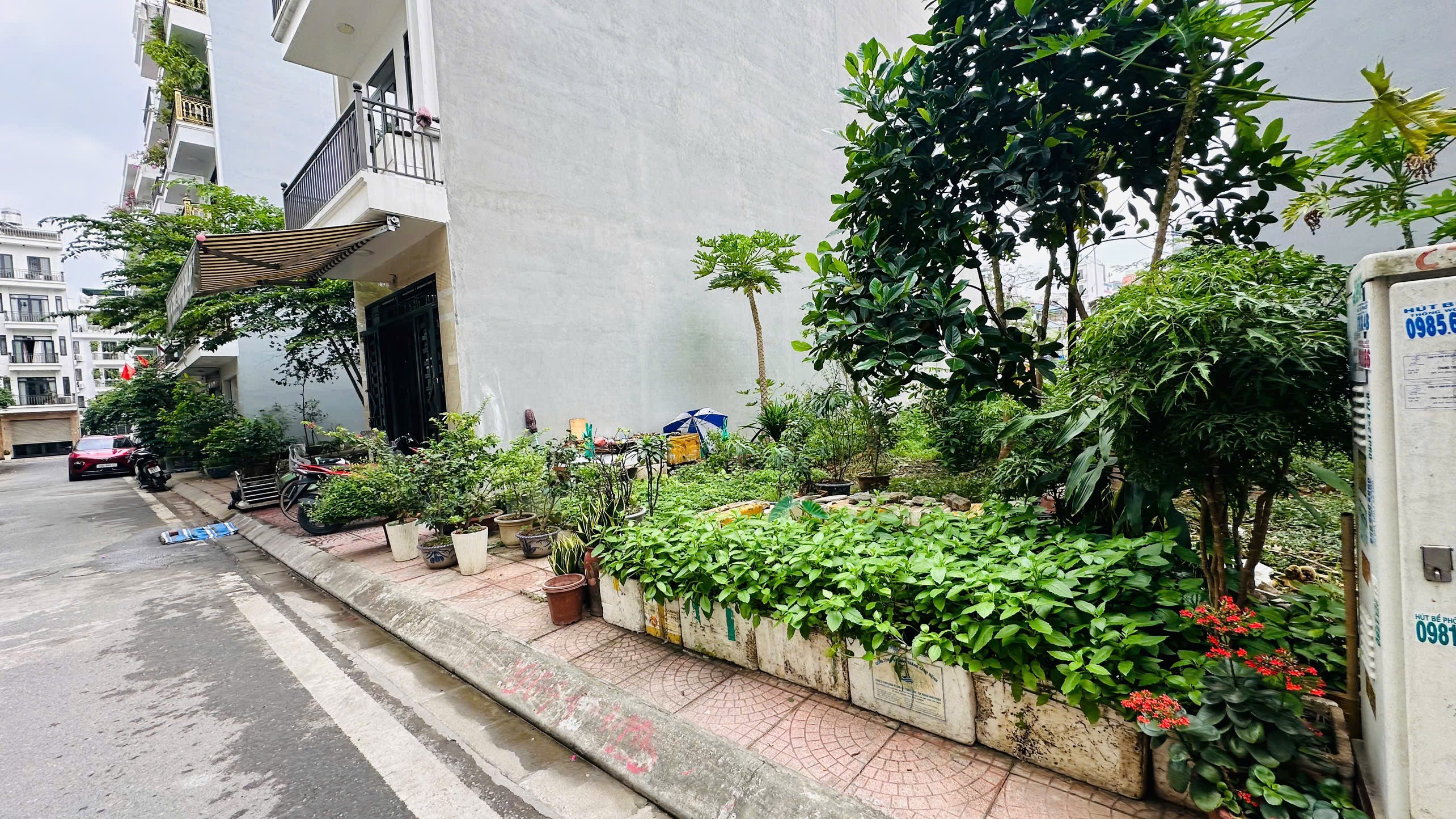 Ảnh Thế Lữ — Vũ Nhà Phố