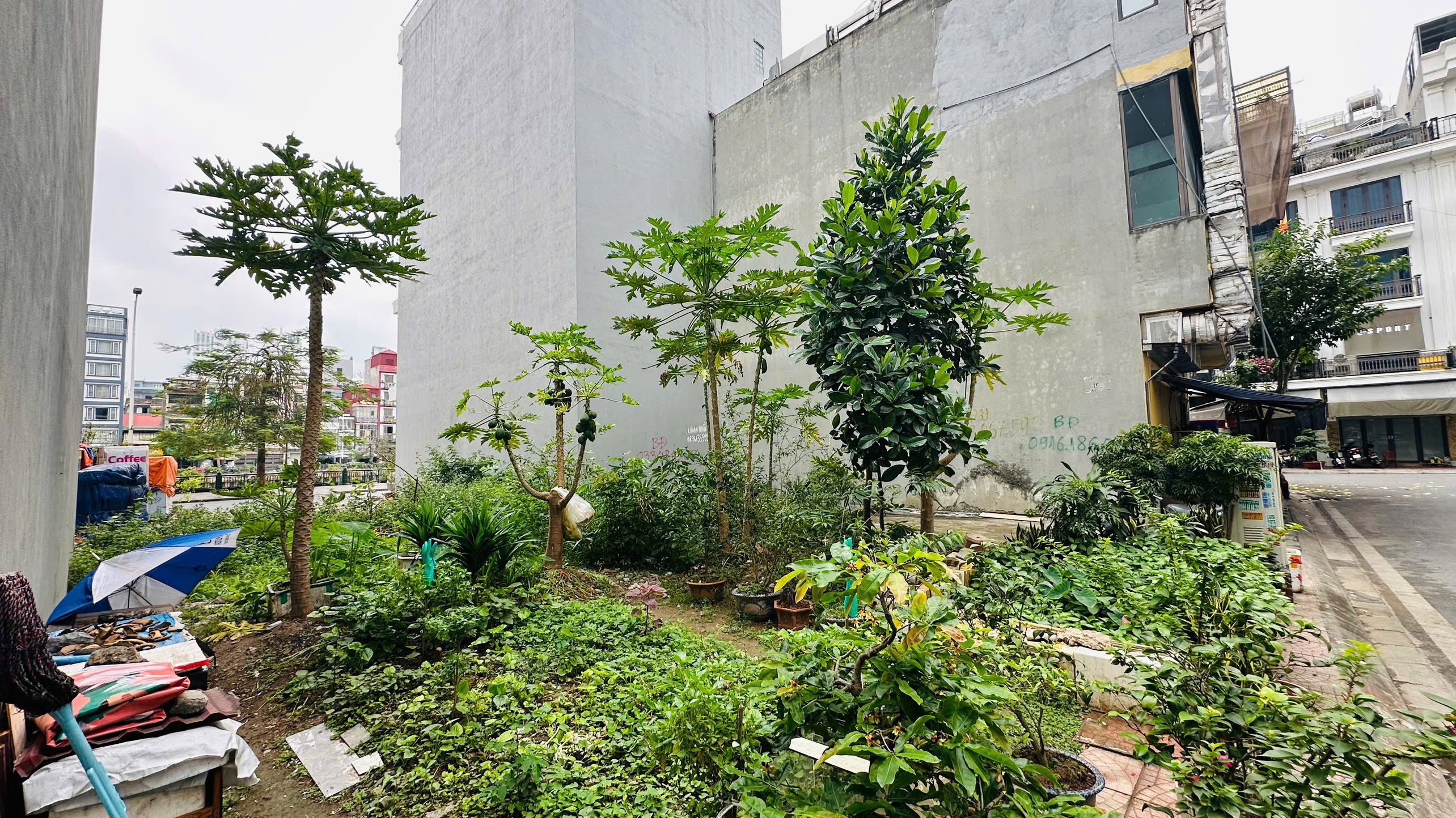 Ảnh Thế Lữ — Vũ Nhà Phố