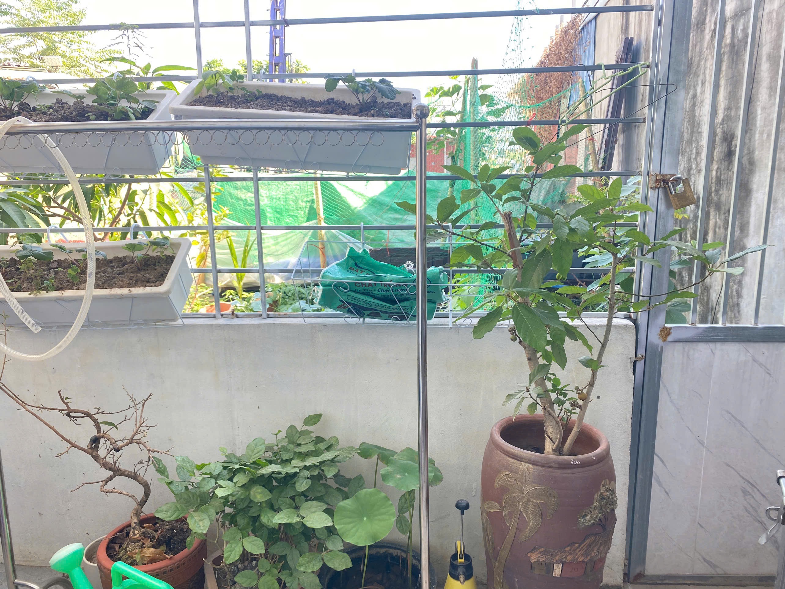Ảnh Trực Cát — Vũ Nhà Phố