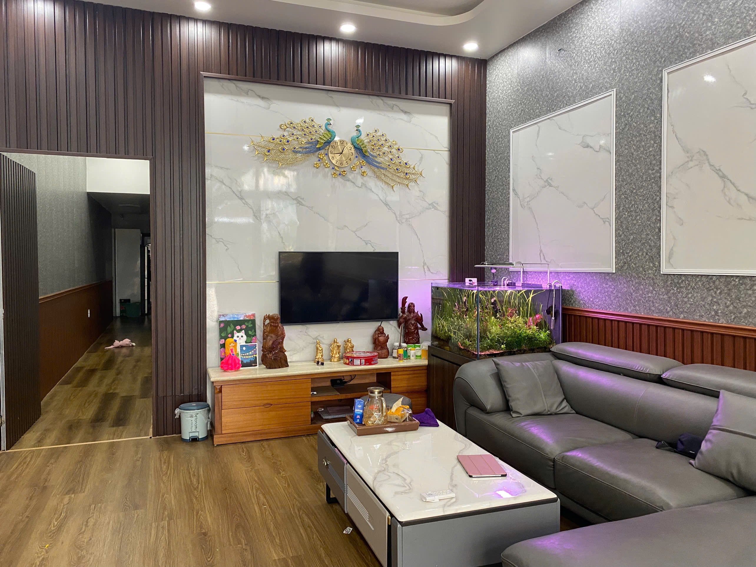 Ảnh Trực Cát — Vũ Nhà Phố