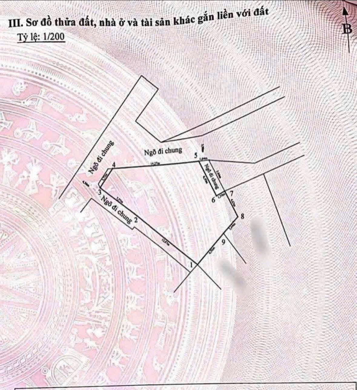 Ảnh Văn Cao — Vũ Nhà Phố