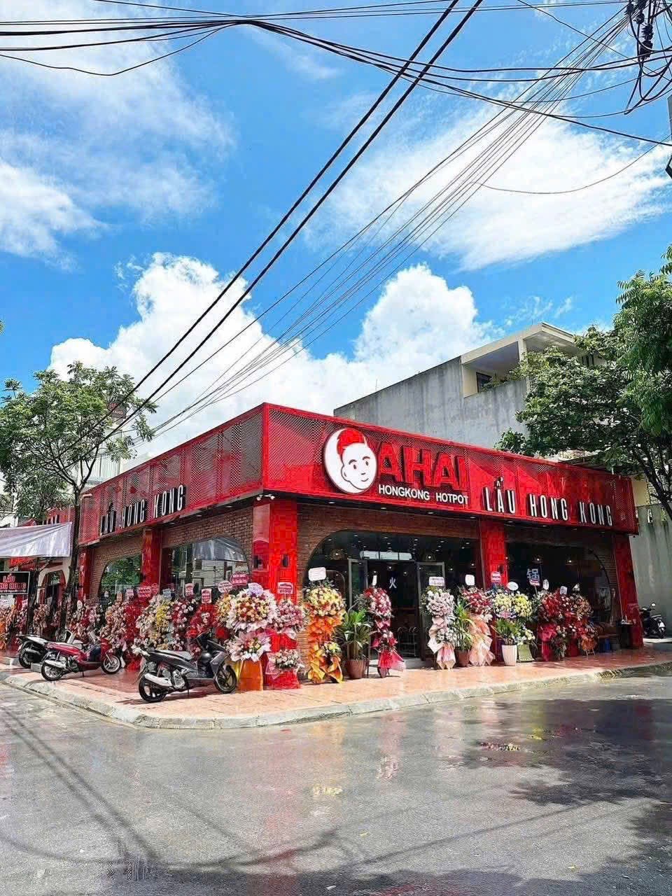 Ảnh Võ Nguyên Giáp — Vũ Nhà Phố